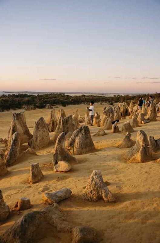 Perth: Pinnacles Desert Sunset and Stargazing with Dinner - FAQs