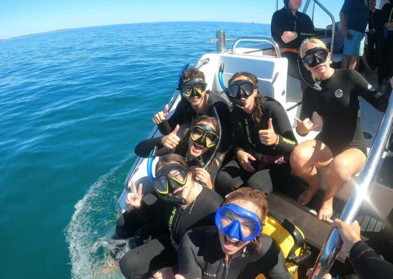 Perth: Swim with Wild Dolphins Tour - FAQ