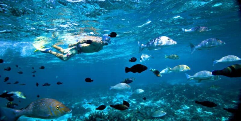 Perth to Exmouth & Return with Monkey Mia & Ningaloo Reef - An In-Depth Look at the Tour