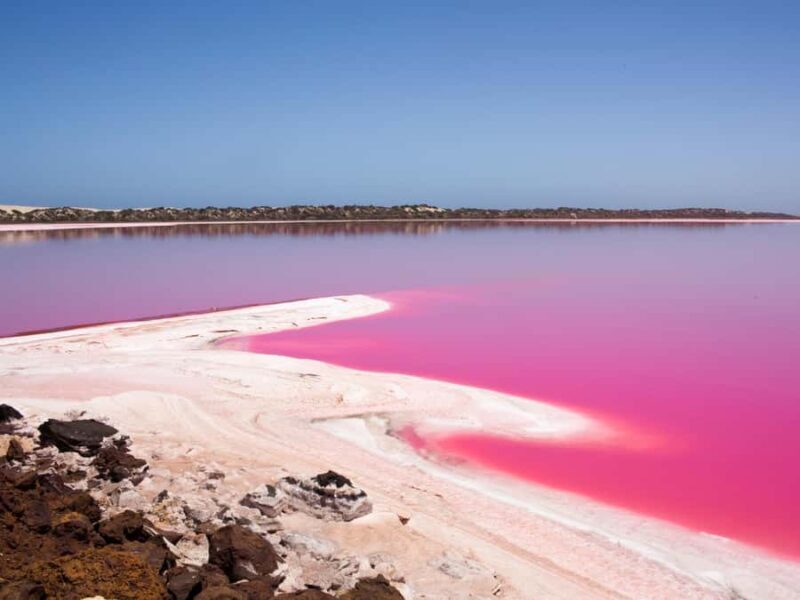 Perth to Exmouth & Return with Monkey Mia & Ningaloo Reef - Real Traveler Insights