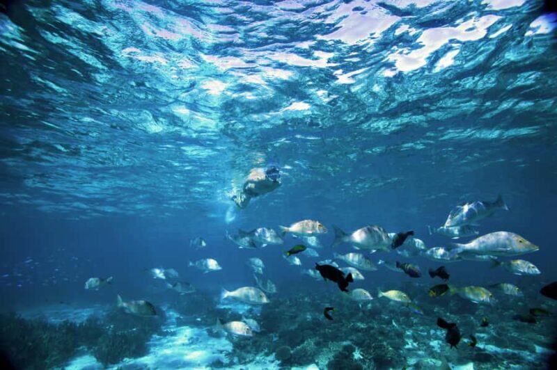 Perth to Exmouth & Return with Monkey Mia & Ningaloo Reef - FAQ