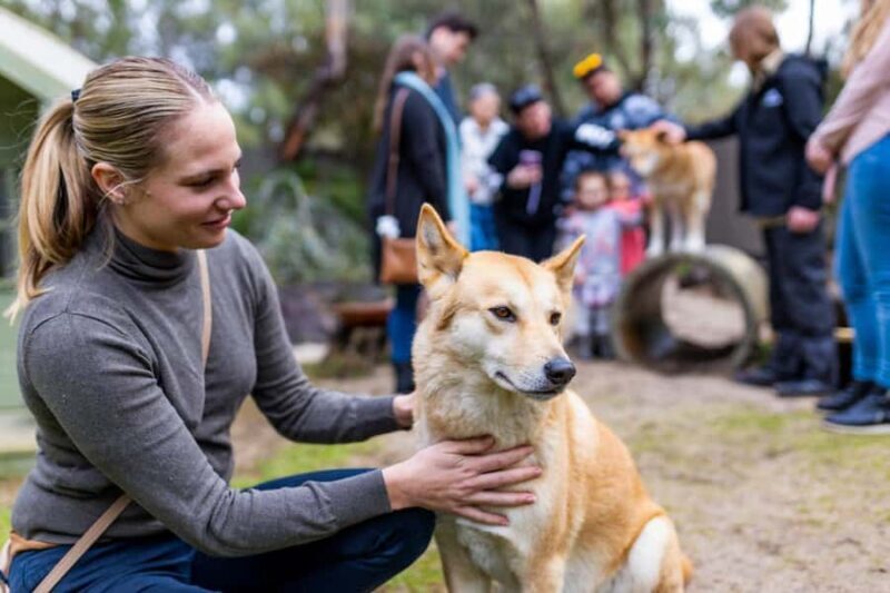Perth: WA Wildlife Hospital and Native Fauna Encounter Tour - The Inside Scoop on the WA Wildlife Hospital and Fauna Tour