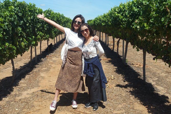 Perth Wildlife Park & City Highlights - Premium Small Group Tour - Key Points