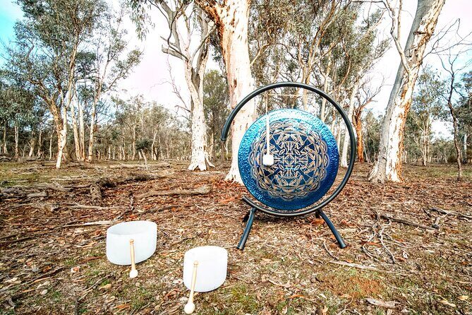 Perth Wildlife Tour Under the Stars with Dinner - Who Is This Tour Best For?