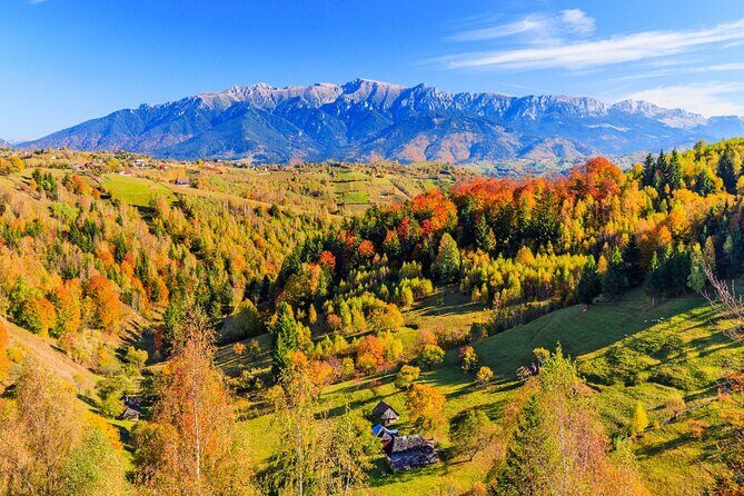 Pestera and Magura Full-Day Private Walking Tour from Brasov - Why Consider the Pestera and Magura Tour?