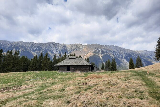 Pestera and Magura Full-Day Private Walking Tour from Brasov - Authentic Feedback From Fellow Travelers
