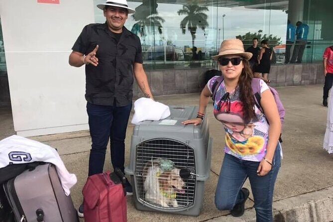 PET FRIENDLY Private Transfer Cancun - Playa del Carmen - Introduction