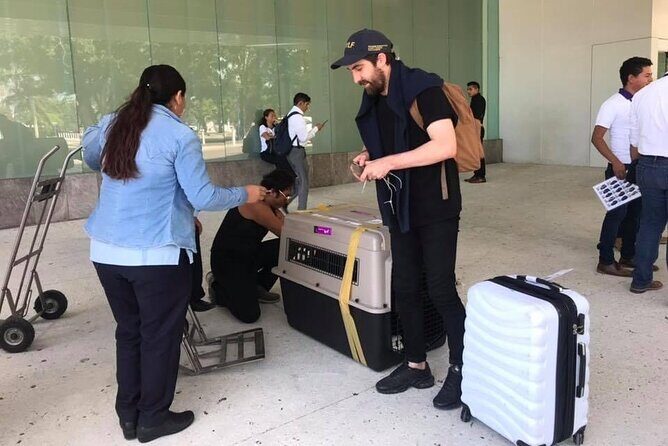 PET FRIENDLY Private Transfer Cancun - Playa del Carmen - Key Points