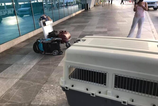 PET FRIENDLY Private Transfer Cancun - Playa del Carmen - Why This Service Might Be a Good Fit