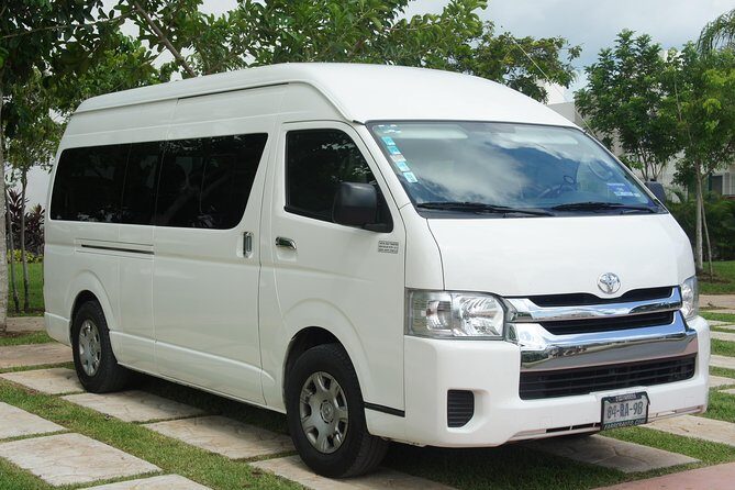 Pet Friendly Transportation Service In Cancun - Comfort and Convenience for You and Your Pet