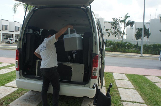 Pet Friendly Transportation Service In Cancun - Who Should Consider This Service?