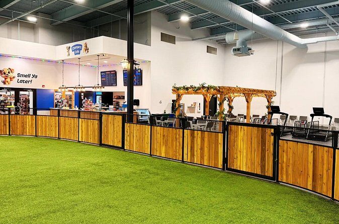 Petfinity Indoor Dog Park in Calgary - Who Would Love This Experience?