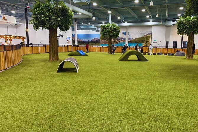 Petfinity Indoor Dog Park in Calgary - FAQs