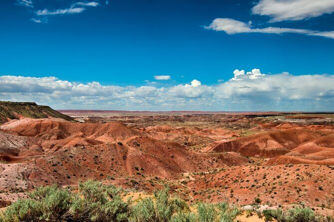 Petrified Forest National Park Self Guided Audio Driving Tour - Who Is This Tour Best For?