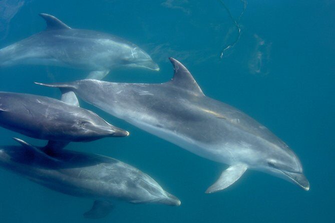 Phantom Sailing Bay of Islands - Key Points