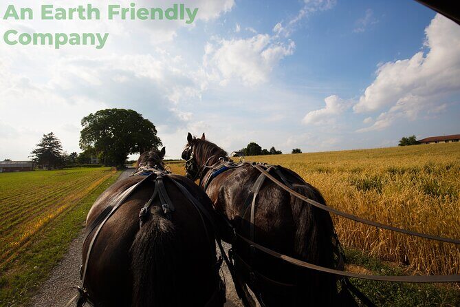 Philadelphia and Amish Country, 1-Day Tour from NYC - The Experience: Pros and Cons