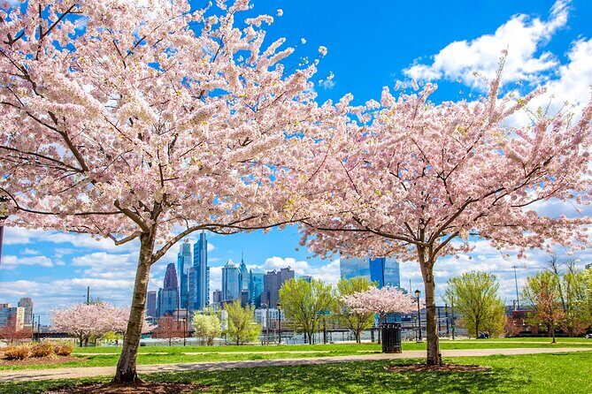 Philadelphia Cherry Blossom 1-Day Tour from New York - An In-Depth Look at the Itinerary