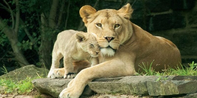 Philadelphia: Go City All-Inclusive Pass w/ 30+ Attractions - What To Expect During Your Visit