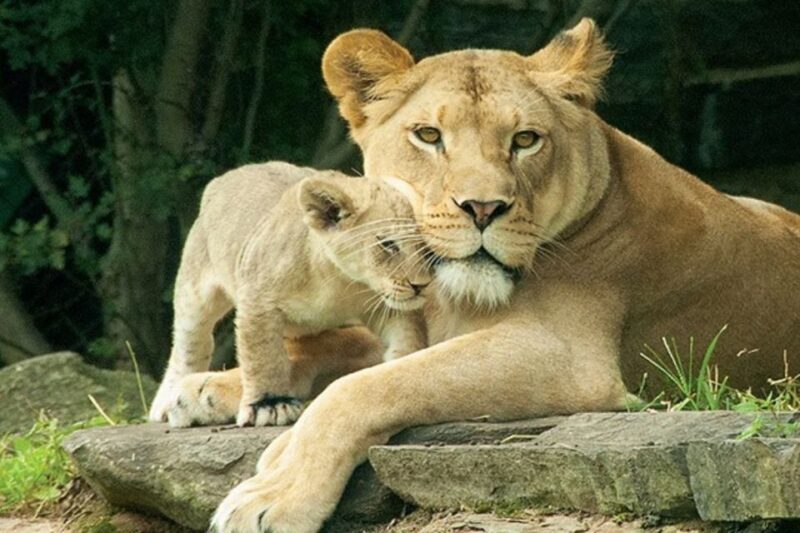 Philadelphia: Go City Explorer Pass with 3 to 7 Attractions - FAQs