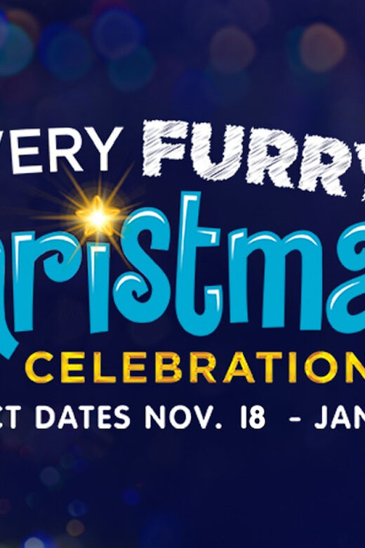 Philadelphia: Official Sesame Place Entry Ticket - FAQs