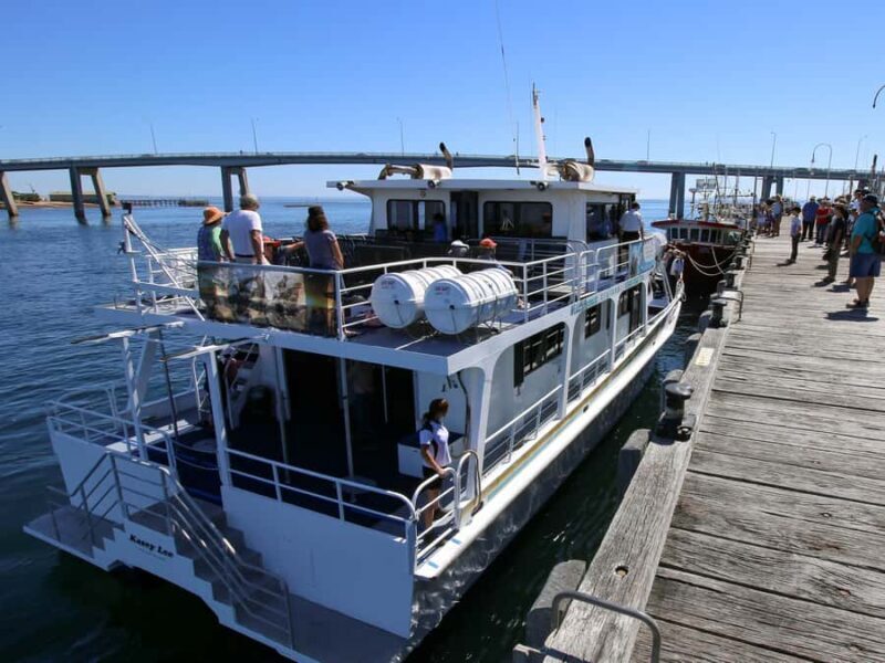 Philip Island: Dolphin and Whale Cruise - What to Expect on the Cruise