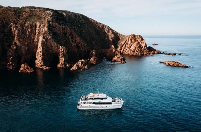 Phillip Island: 1-Hour Cape Woolamai Scenic Cruise - Is This Tour Right for You?