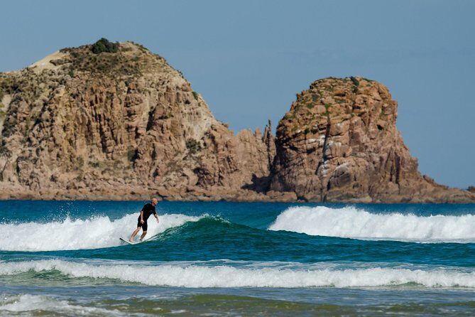 Phillip Island Day Trip from Melbourne with Penguin Plus Viewing Platform - The Sum Up