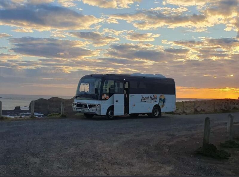 Phillip Island: Golden Hour Penguin Express Tour - Who is this tour best suited for?