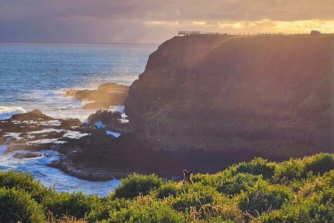 Phillip Island: Golden Hour Penguin Express Tour w/ Island Pickup - Final Thoughts