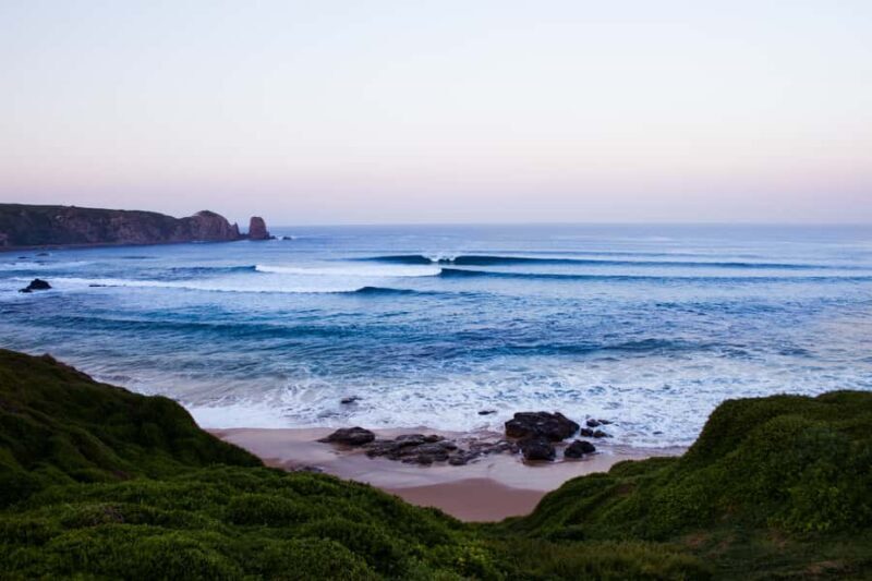 Phillip Island: Hike and Penguin Parade - 8 pax Small Tour - Key Points