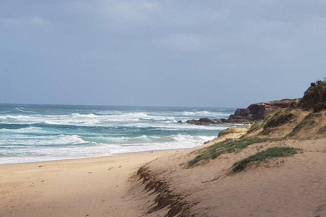 Phillip Island Penguin and wildlife Tour - A Detailed Look at the Tour Itinerary