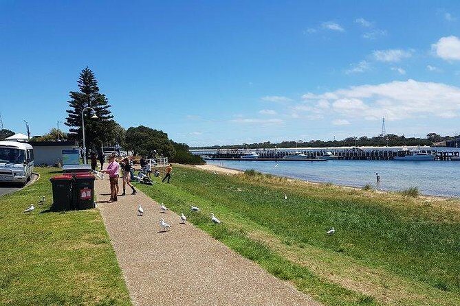 Phillip Island Penguin and wildlife Tour - Timing and Weather: What to Expect