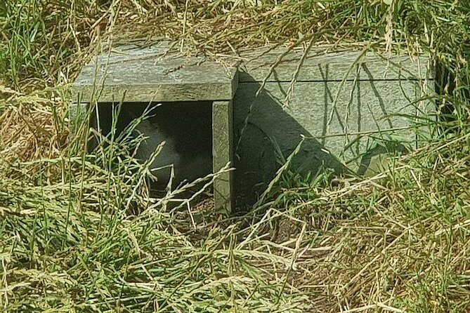 Phillip Island Penguin and wildlife Tour - Price and Value