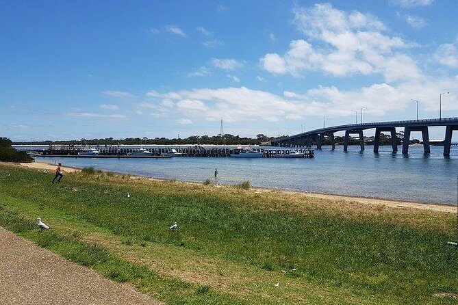 Phillip Island Penguin and wildlife Tour - Who Would Love This Tour?