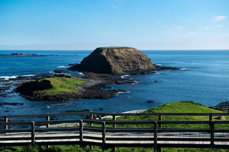 Phillip Island Penguin Direct Sunset Tour - The Highlights and Drawbacks