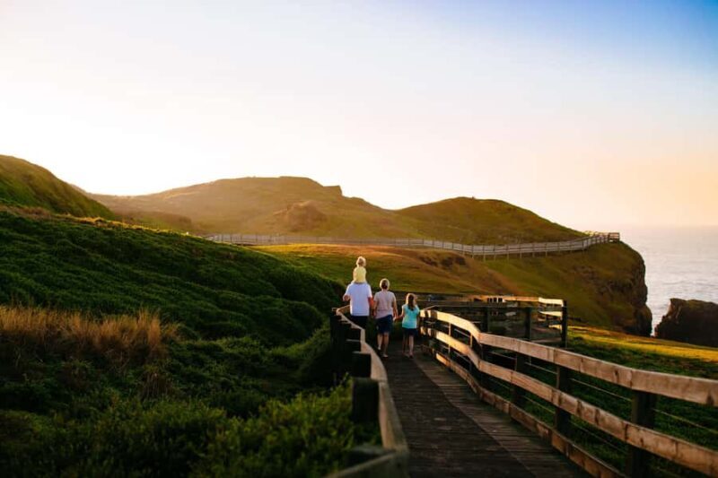 Phillip Island Penguin Direct Sunset Tour - The Bottom Line: Is It Worth It?