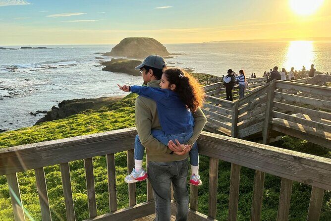 Phillip Island & Penguin Parade Afternoon Eco Tour from Melbourne - Key Points