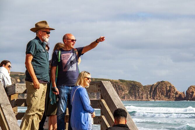 Phillip Island & Penguin Parade Afternoon Eco Tour from Melbourne - The Downsides to Consider