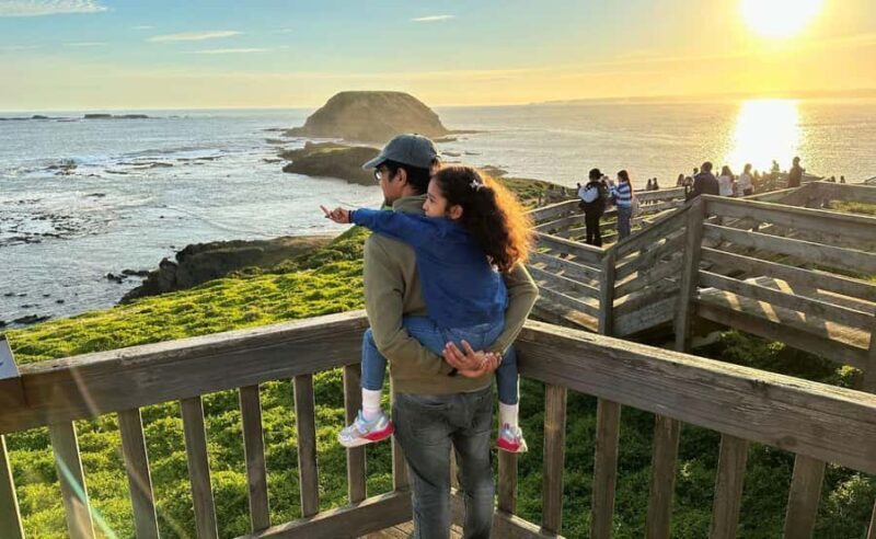 Phillip Island Penguin Parade Afternoon Tour from Melbourne - Frequently Asked Questions