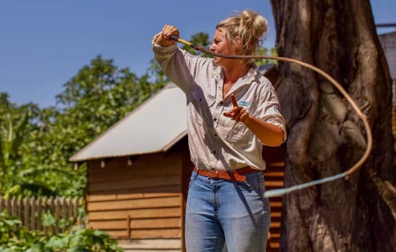 Phillip Island: Penguin Parade and Multi Attraction Pass - In The Sum Up: Who Will Love This Tour?