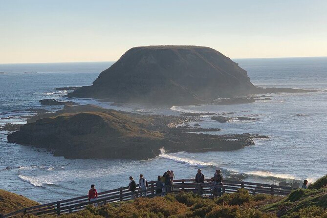 Phillip Island Penguin Parade and Wildlife Tour from Melbourne - FAQs