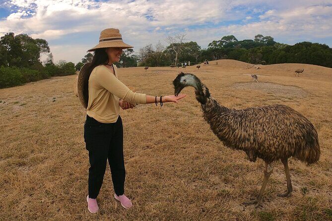 Phillip Island Penguin Parade and Wildlife Tour from Melbourne - Final Thoughts