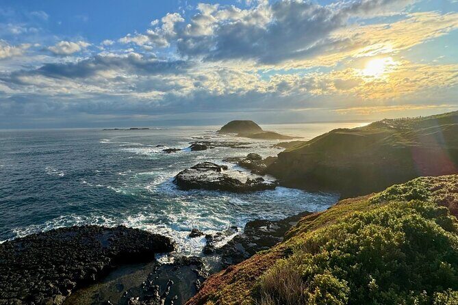 Phillip Island Penguin Parade Express Tour from Melbourne - FAQs