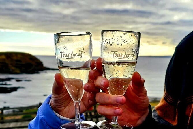 Phillip Island Penguin Parade Small-Group with Lunch and Wine - Who Is This Tour Best For?