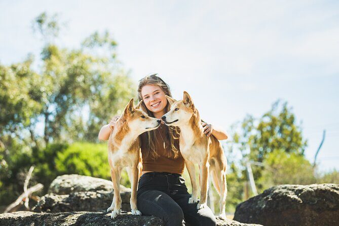 Phillip Island Penguin Parade, Wildlife and Beach Boxes Bus Tour - Frequently Asked Questions (FAQs)