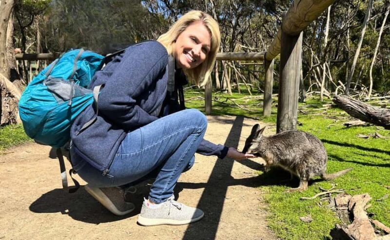 Phillip Island Penguin Parade with Expert Local Guide - Final Thoughts: Is This Tour Right for You?