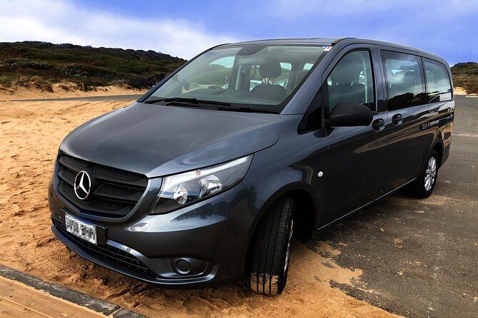 Phillip Island Penguins Private Adventure - Who Should Consider This Tour?