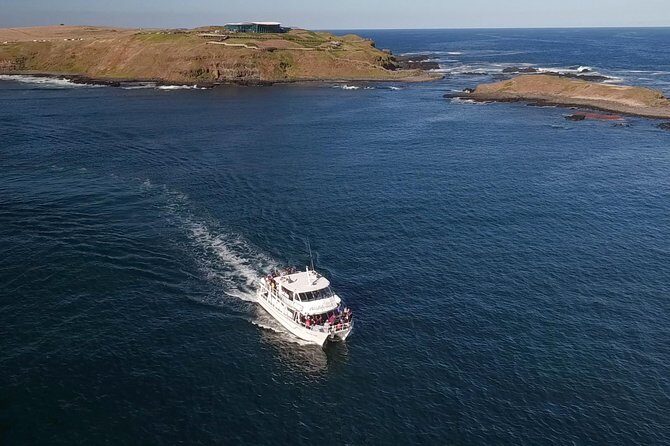 Phillip Island Seal-Watching Cruise - Comfort and Convenience