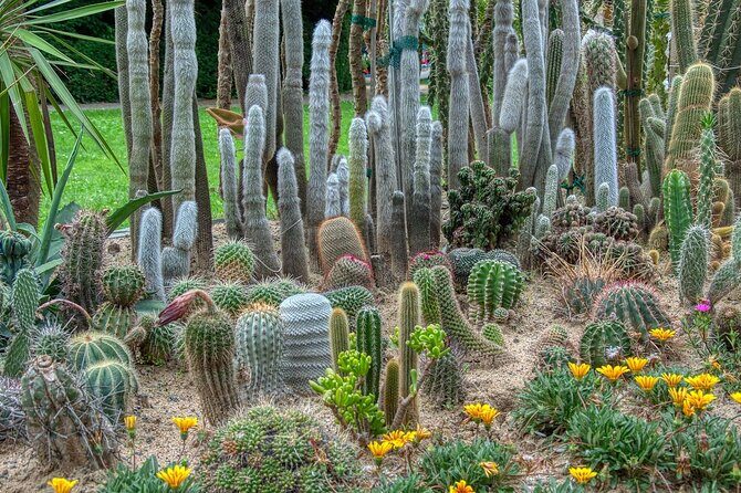 Phoenix Landmarks Tour Desert Botanical Garden - A Closer Look at the Itinerary