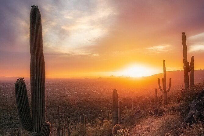 Phoenix Landmarks Tour Desert Botanical Garden - Who Is This Tour Best For?